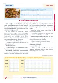 11. sayfa